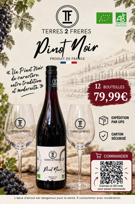 12 BOUTEILLES - PINOT NOIR VISAGE