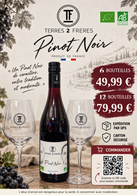 PINOT VISAGE CARTON DE 12 BOUTEILLES